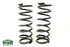 Molas Heavy load frente Disco2 + 5cm