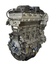 ENGINE - STRIPPED