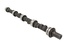 CAMSHAFT 4.2L