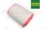 FILTER - AIR - V8 4.4 PETROL ONLY