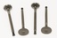 VALVE - EXHAUST