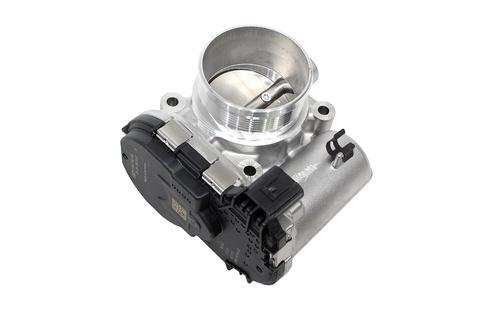 THROTTLE BODY AND MOTOR