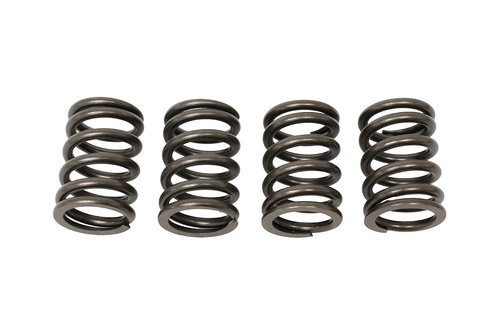 SPRING - VALVE - CYLINDER HEAD - D1/DEF 83-06/RRC/S2/S3
