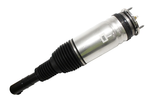 AIR SPRING+DAMPER ASSY