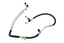HOSE ASSY