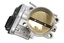 Throttle Body And Motor