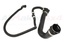 HOSE - RADIATOR TOP - UPPER