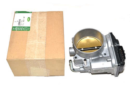 Throttle Body And Motor