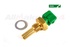 Sensor Temperatura RR P38