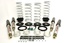 TF AIR TO COIL CONVERSION KIT + SHOCKS - P38