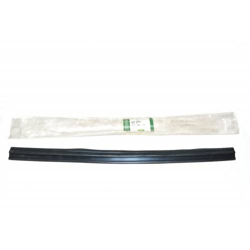 Borracha Vidro Porta Frente RR P38