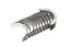 MAIN BEARING SET 2.4 PUMA