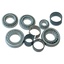 Kit rolamentos caixa velocidades LT77 SUFFIX H