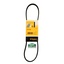Correia AC RR P38 Contitech