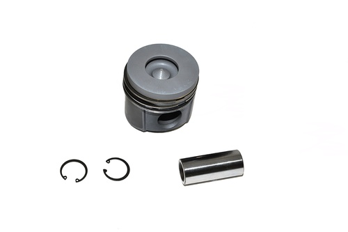 PISTON ASSY -020