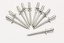 RIVET