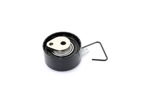 TENSIONER