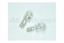 BULB 12V W16W