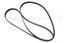 DRIVE BELT
