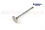 INLET VALVE - DEF - D2 - Td5
