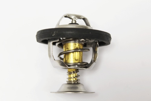 Termostato 300 TDI 77/78º abertura