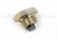 PLUG - DRAIN - TRANSMISSION ASSEMBLY - WITH MAGNET - D1/D2/DEF 83-06/RRC/P38