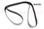 DRIVE BELT