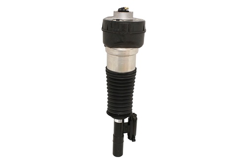 SHOCK ABSORBER - LH