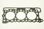 HEAD GASKET