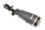 SHOCK ABSORBER AND AIR SPRING - RH