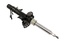 SHOCK ABSORBER - FRONT