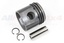 PISTON - ASSEMBLY - 300TDI