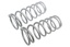 PAIR REAR SPRING
