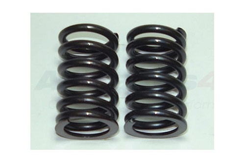 VALVE SPRING