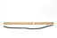MOULDING - WINDSHIELD