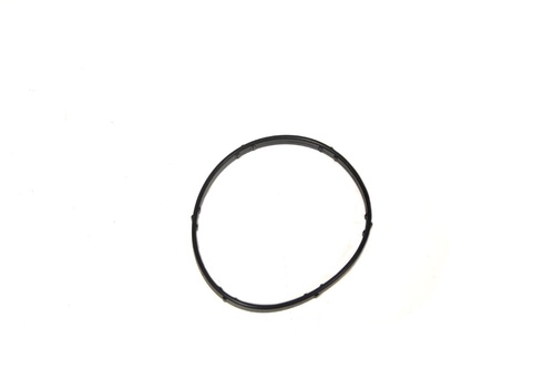 O`ring Corpo Termostato  4.2 & 4.4 V8