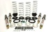 TF AIR TO COIL CONVERSION KIT + SHOCKS - P38