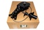 WINCH - SPARE WHEEL