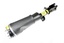 DAMPER - ASSEMBLY