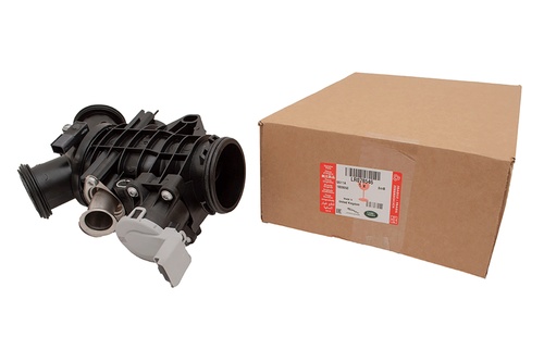 THROTTLE BODY AND MOTOR