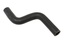 HEATER HOSE