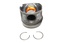 PISTON 3LTR TDV6 STD