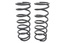 TERRAFIRMA STD HEIGHT FRONT COIL SPRINGS DISCO 2 PAIR