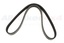 DRIVE BELT
