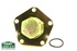 Falange reforçada Terrafirma Disc1/ Defender/ RRC