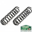 Par Molas OME Traseiras Discovery 1/ RR  + 4cm +110KG