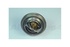 Termostato RR P38 OEM