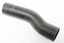 T/STAT BYPASS HOSE