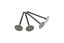 DIESEL INLET VALVE