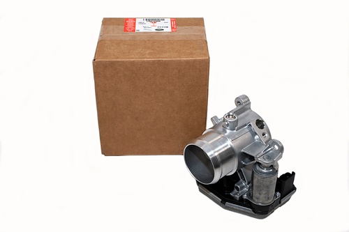 THROTTLE BODY AND MOTOR